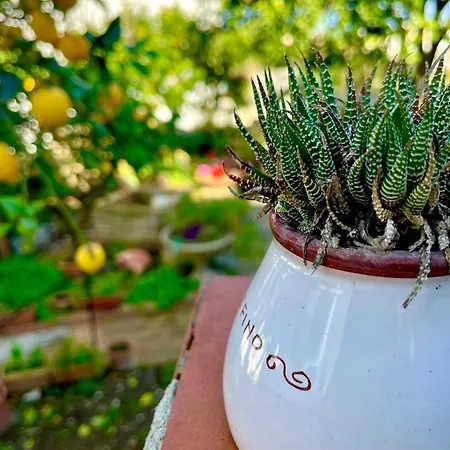 Elke Dom wakacyjny *